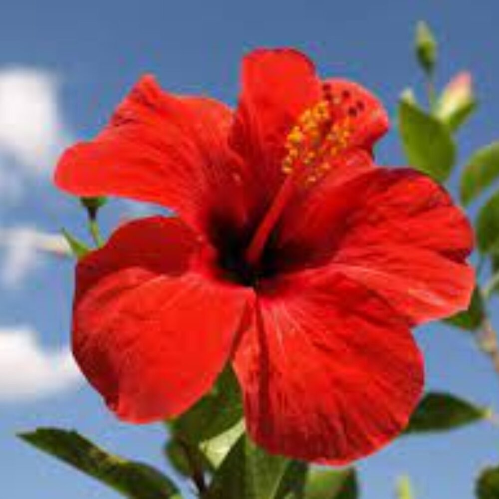 Meet your Posher, Vidhi